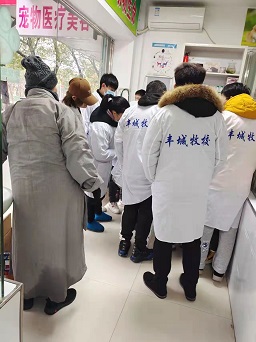 跟诊