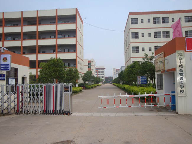 学校大门